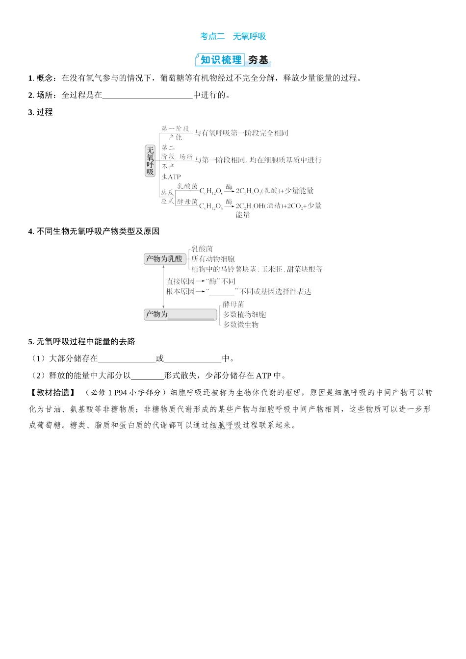 2026年三维设计一轮高中总复习生物学生用-第12讲　细胞呼吸的方式和过程.docx_第3页