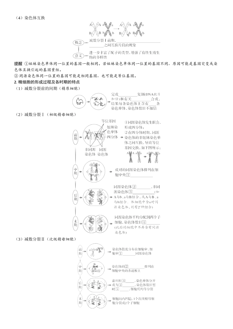 2026年三维设计一轮高中总复习生物学生用-第18讲　减数分裂和受精作用.docx_第2页