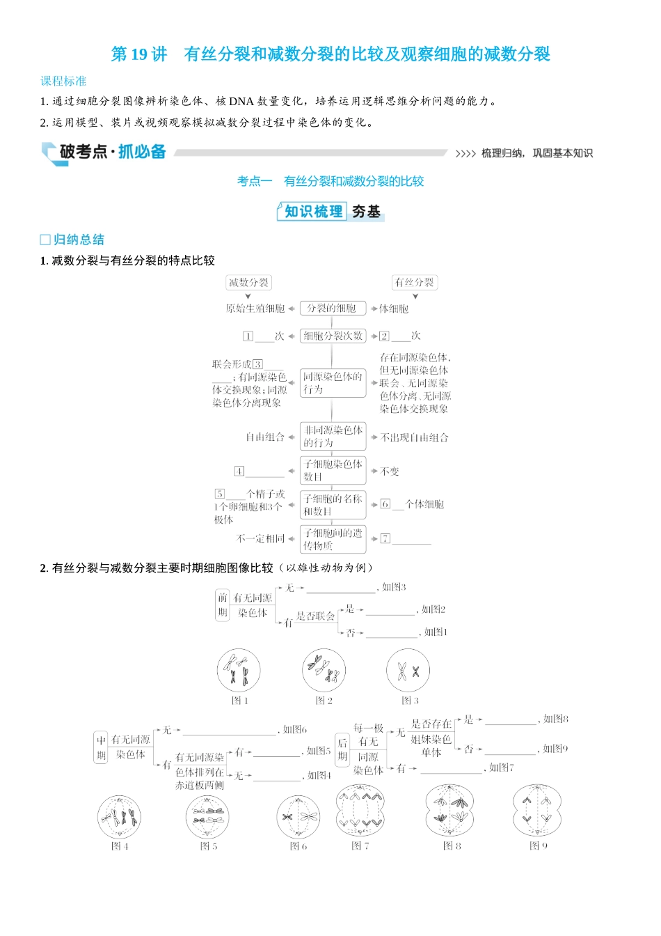 2026年三维设计一轮高中总复习生物学生用-第19讲　有丝分裂和减数分裂的比较及观察细胞的减数分裂.docx_第1页
