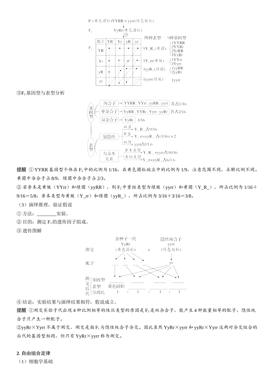 2026年三维设计一轮高中总复习生物学生用-第23讲　自由组合定律的发现及应用.docx_第2页