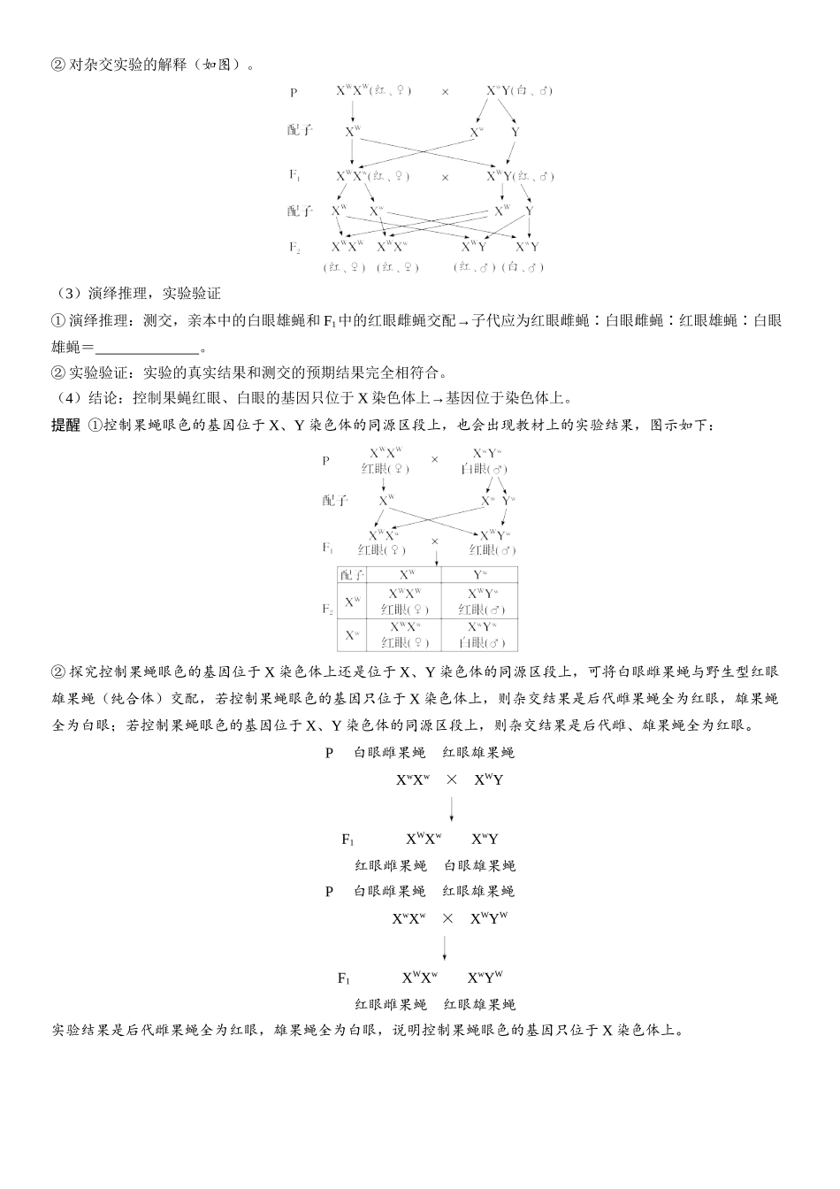 2026年三维设计一轮高中总复习生物学生用-第25讲　基因在染色体上、伴性遗传的类型和特点.docx_第2页