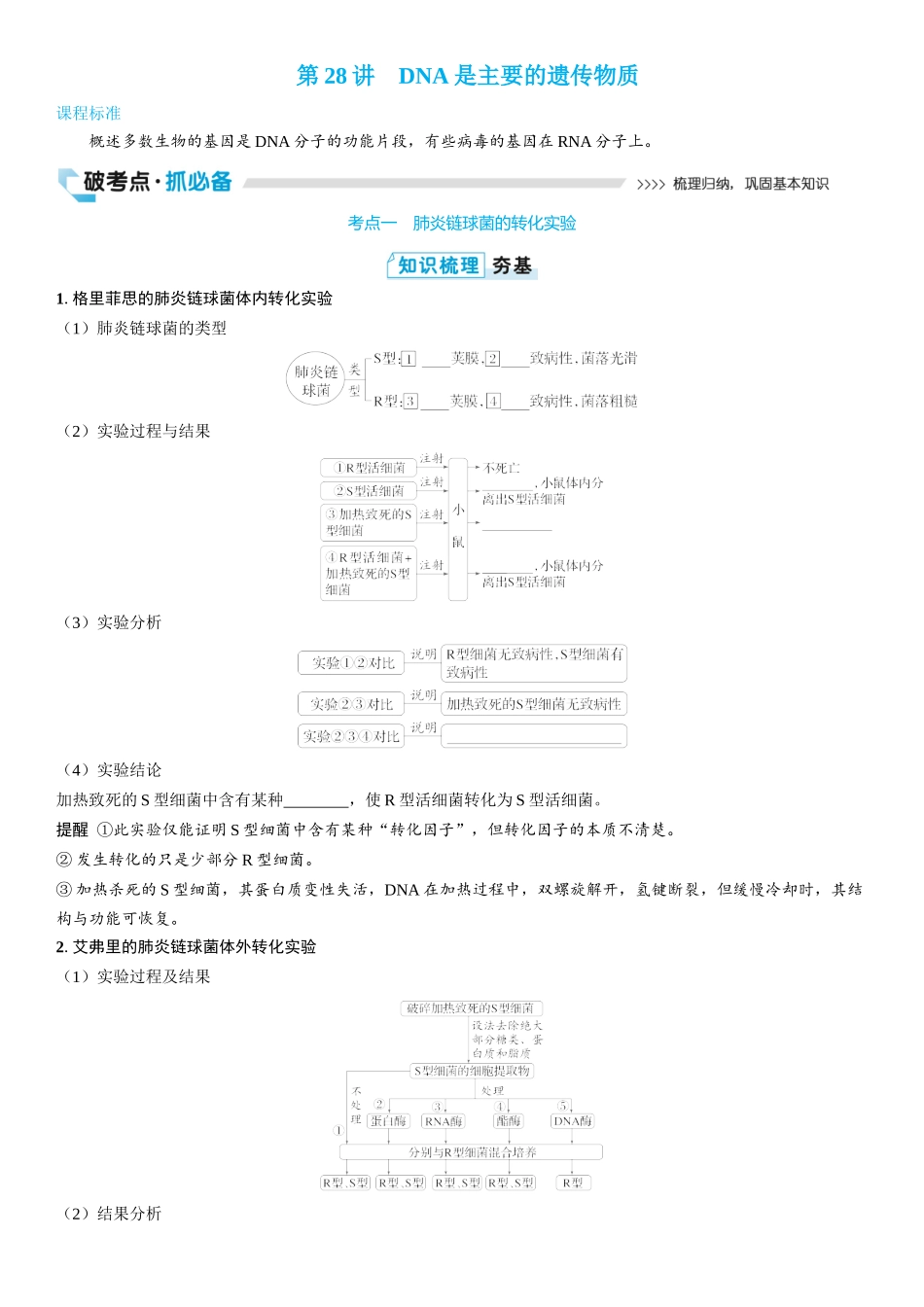 2026年三维设计一轮高中总复习生物学生用-第28讲　DNA是主要的遗传物质.docx_第1页