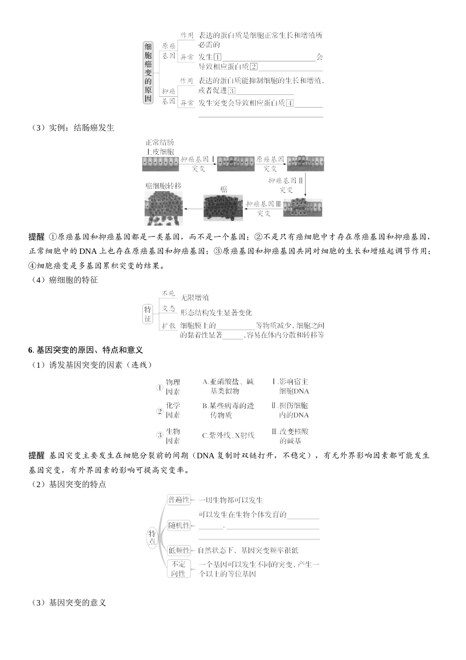 2026年三维设计一轮高中总复习生物学生用-第32讲　基因突变和基因重组.docx_第2页