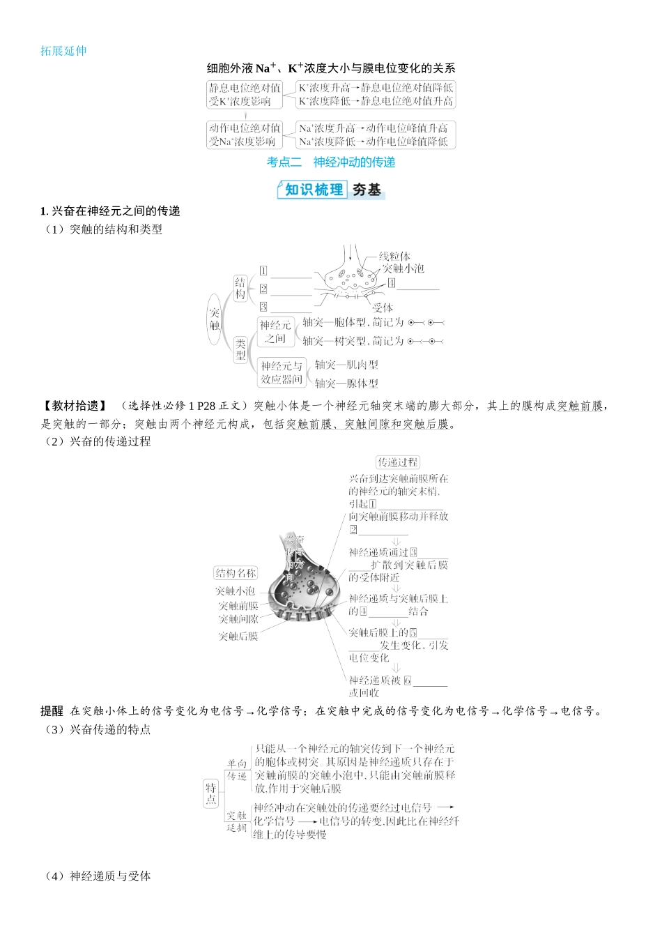 2026年三维设计一轮高中总复习生物学生用-第37讲　神经冲动的产生、传导和传递.docx_第3页