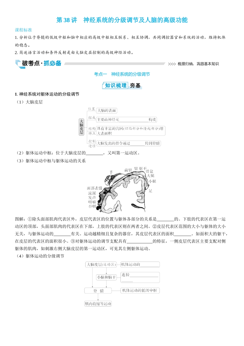 2026年三维设计一轮高中总复习生物学生用-第38讲　神经系统的分级调节及人脑的高级功能.docx_第1页