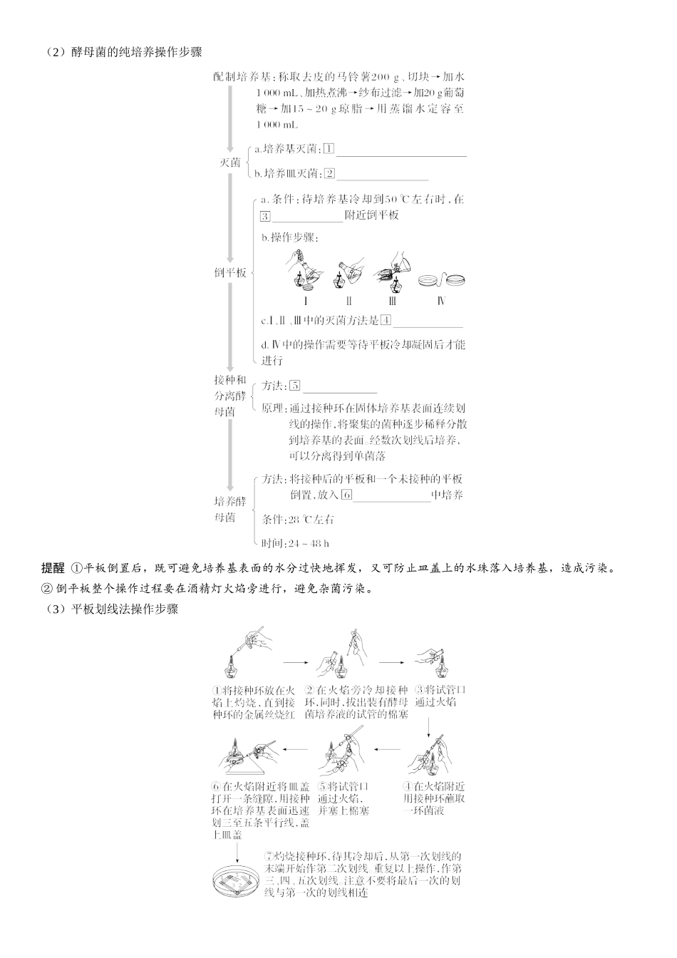 2026年三维设计一轮高中总复习生物学生用-第54讲　微生物的培养技术及应用.docx_第3页