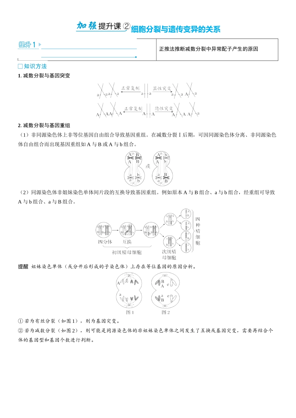 2026年三维设计一轮高中总复习生物学生用-加强提升课2  细胞分裂与遗传变异的关系.docx_第1页