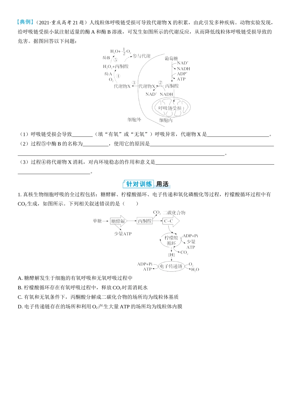 2026年三维设计一轮高中总复习生物学生用-拓展微课2  糖酵解和三羧酸循环、电子传递链和氧化磷酸化.docx_第2页