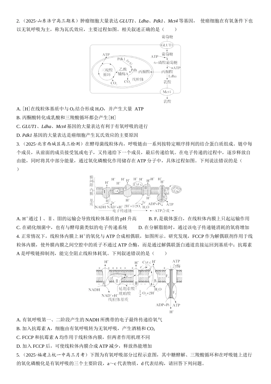 2026年三维设计一轮高中总复习生物学生用-拓展微课2  糖酵解和三羧酸循环、电子传递链和氧化磷酸化.docx_第3页