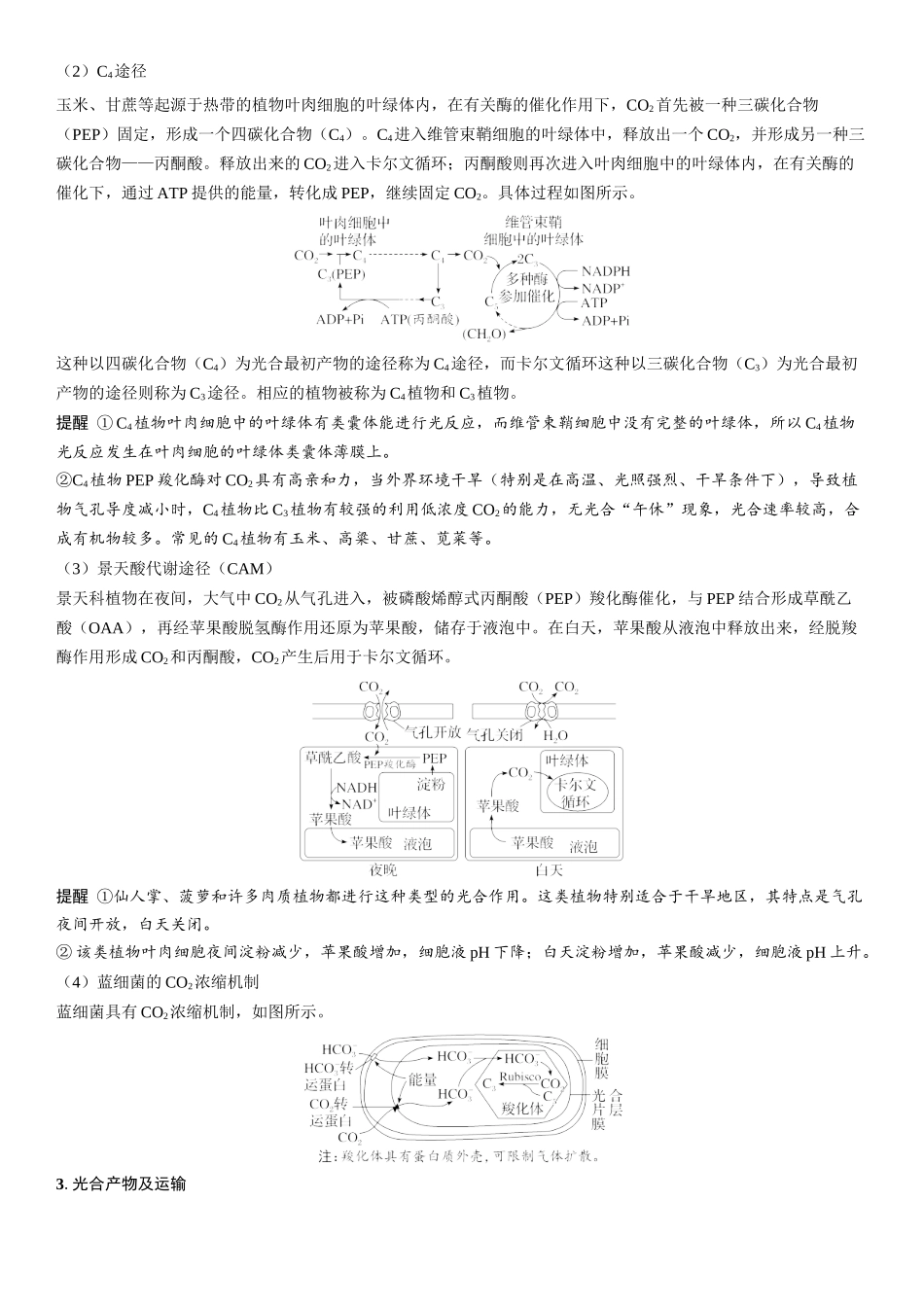 2026年三维设计一轮高中总复习生物学生用-拓展微课3  CO2固定的三种途径、光呼吸与光抑制.docx_第2页