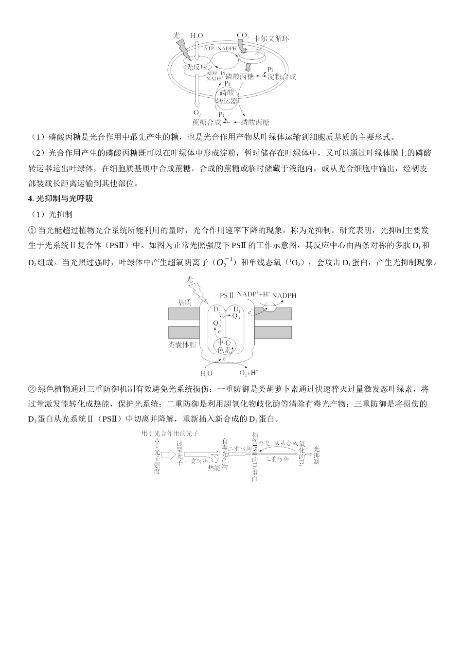 2026年三维设计一轮高中总复习生物学生用-拓展微课3  CO2固定的三种途径、光呼吸与光抑制.docx_第3页