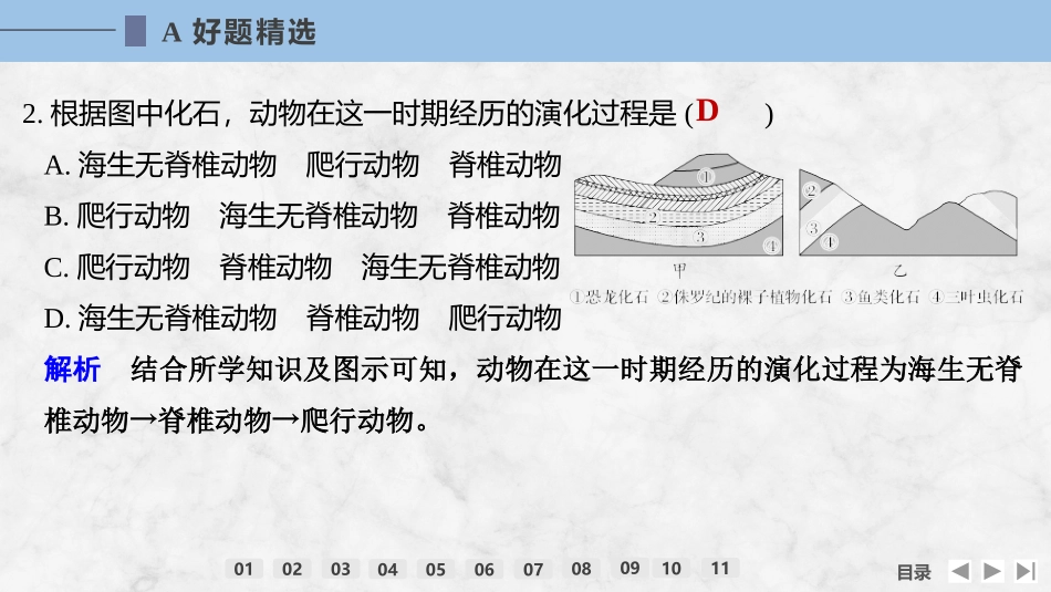 2026版创新设计高考总复习地理中图版强化练课件-强化练6　地球的圈层结构与地球的演化.pptx_第3页