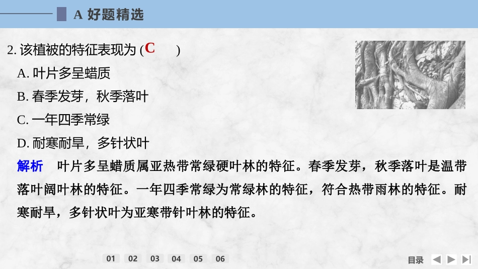 2026版创新设计高考总复习地理中图版强化练课件-强化练39　植被与自然环境的关系.pptx_第3页