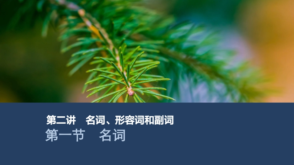 2026版创新设计高考总复习英语(外研版)课件-第一节　名词.pptx_第1页