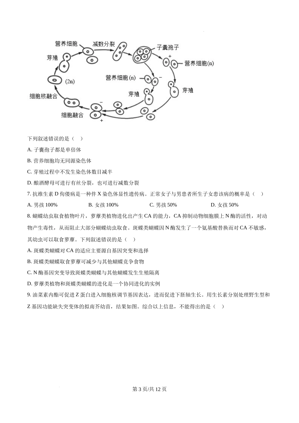 精品解析：2025高考北京卷生物真题试卷（原卷版）.docx_第3页