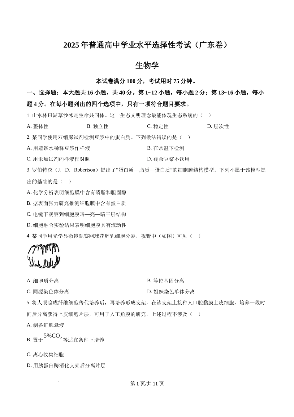 精品解析：2025年广东省高考生物真题（原卷版）.docx_第1页