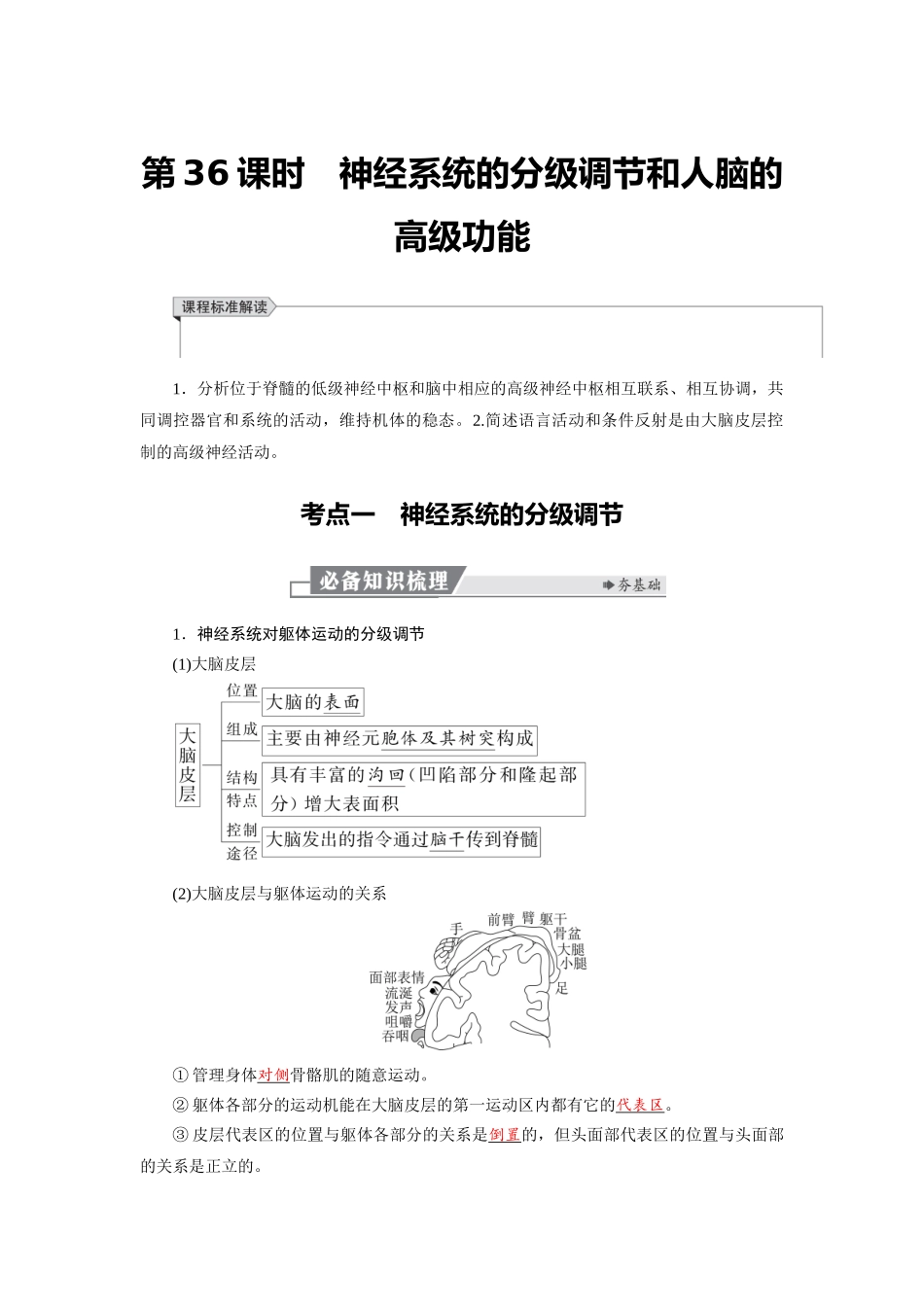 2026版红对勾一轮复习讲与练高考生物模板三   第八单元   第36课时　神经系统的分级调节和人脑的高级功能.docx_第1页