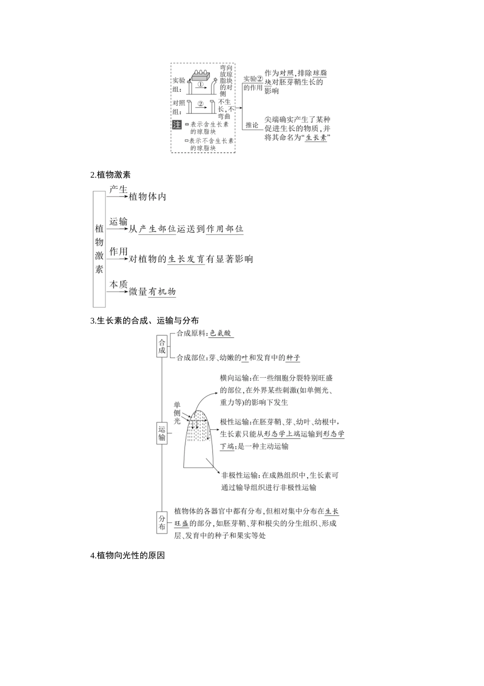 2026版红对勾一轮复习讲与练高考生物模板三   第八单元   第41课时　植物生长素.docx_第2页