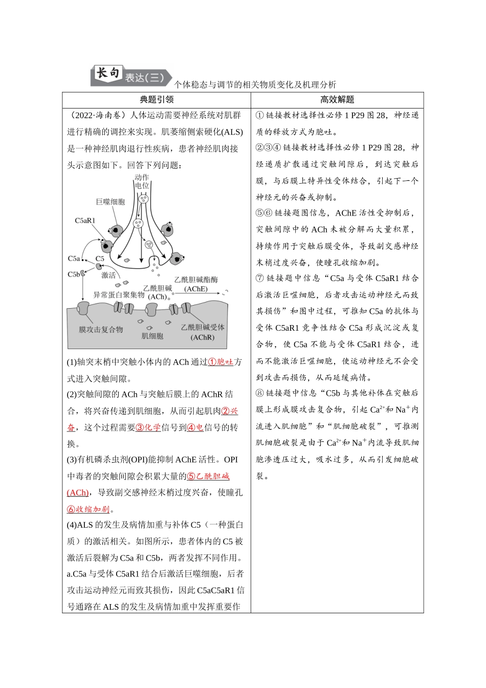 2026版红对勾一轮复习讲与练高考生物模板三   第八单元   长句表达（三）　个体稳态与调节的相关物质变化及机理分析.docx_第1页