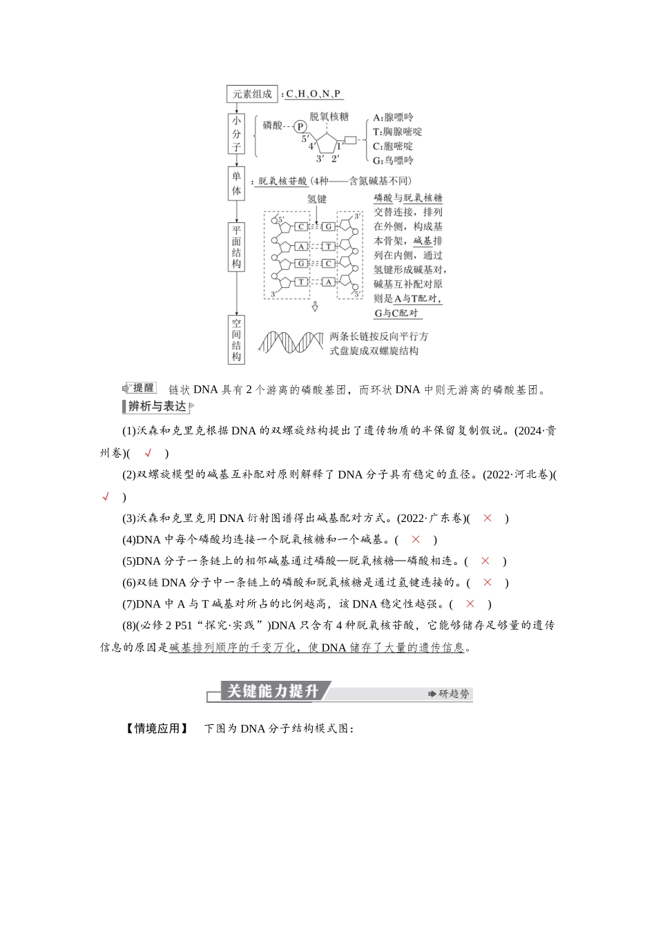 2026版红对勾一轮复习讲与练高考生物模块二　第六单元　第27课时　DNA的结构、复制以及基因的本质.docx_第2页