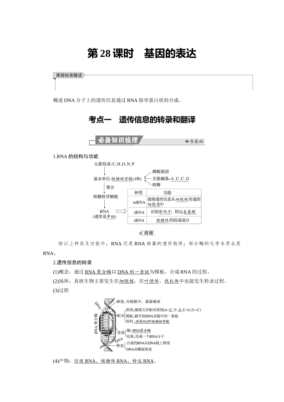 2026版红对勾一轮复习讲与练高考生物模块二　第六单元　第28课时　基因的表达.docx_第1页