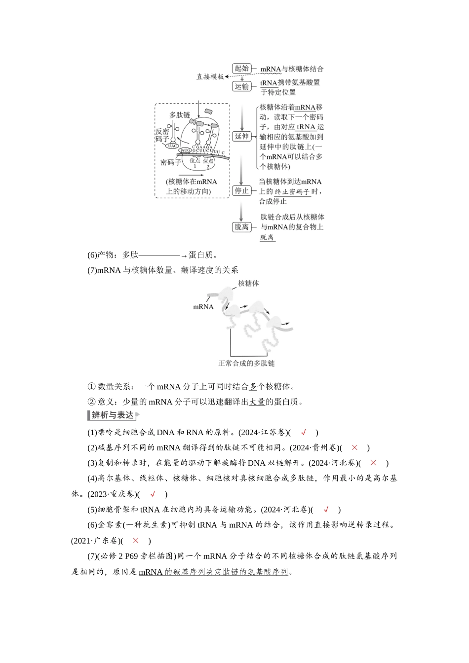 2026版红对勾一轮复习讲与练高考生物模块二　第六单元　第28课时　基因的表达.docx_第3页