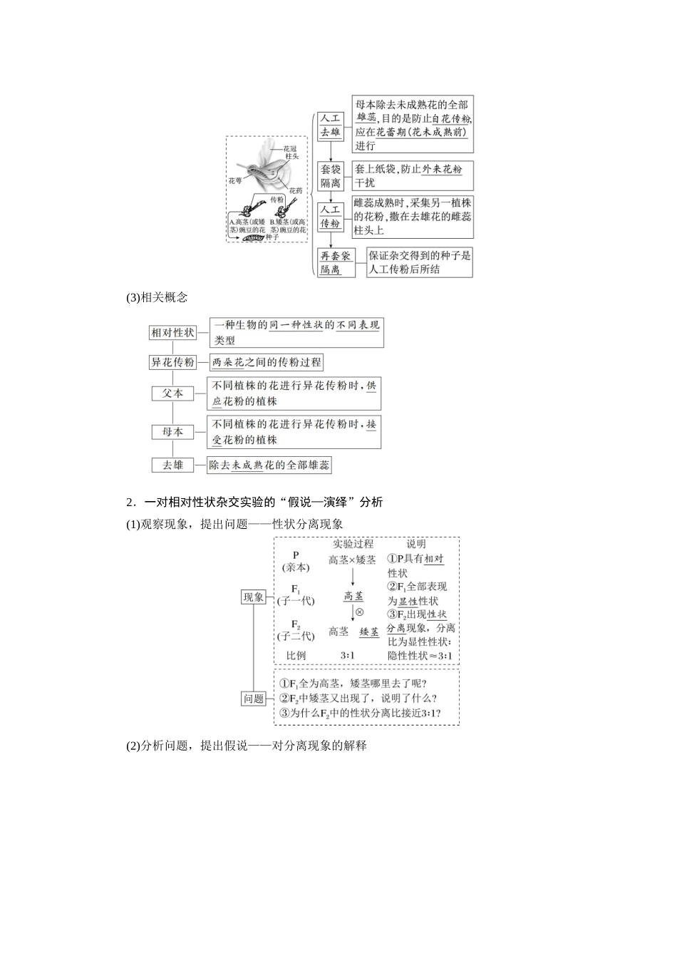 2026版红对勾一轮复习讲与练高考生物模块二　第五单元　第21课时　一对相对性状的杂交实验.docx_第2页