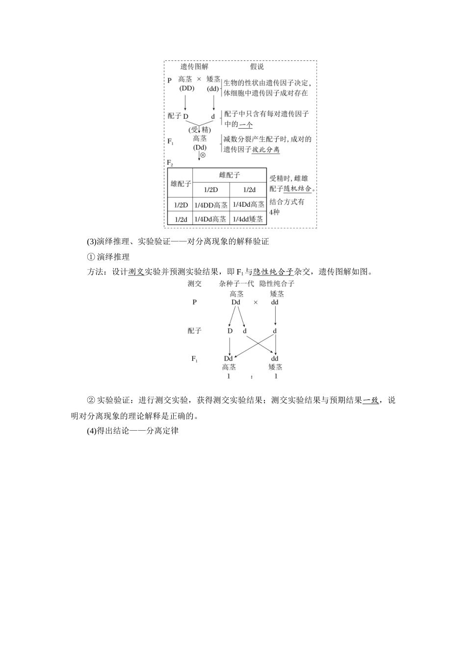 2026版红对勾一轮复习讲与练高考生物模块二　第五单元　第21课时　一对相对性状的杂交实验.docx_第3页