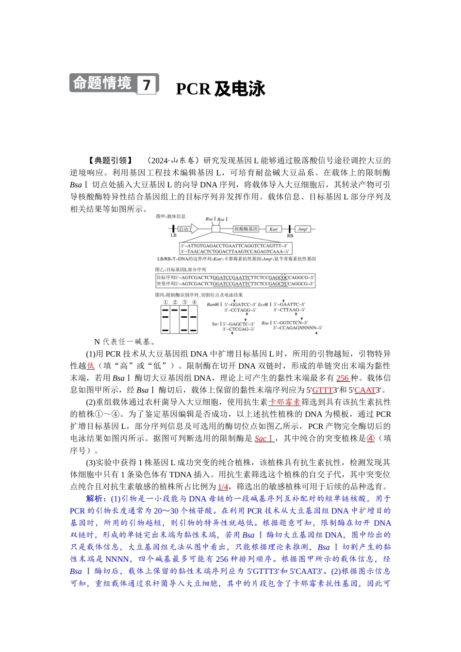 2026版红对勾一轮复习讲与练高考生物模块五　第十单元　命题情境7　PCR及电泳.docx_第1页