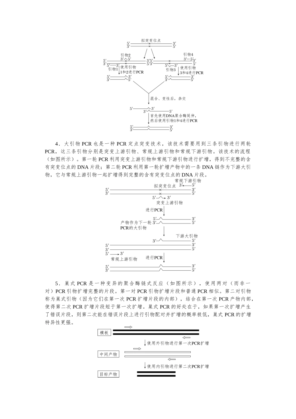 2026版红对勾一轮复习讲与练高考生物模块五　第十单元　命题情境7　PCR及电泳.docx_第3页