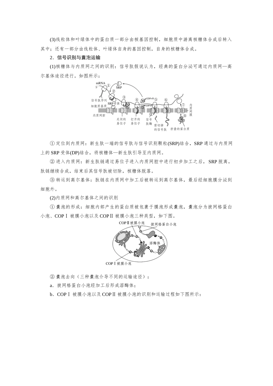 2026版红对勾一轮复习讲与练高考生物模块一　第二单元　命题情境1　蛋白质的分选、主动运输的协同转运.docx_第2页