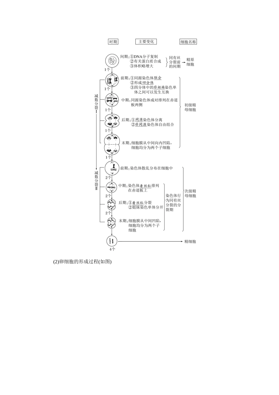 2026版红对勾一轮复习讲与练高考生物模块一　第四单元　第18课时　减数分裂和受精作用.docx_第3页