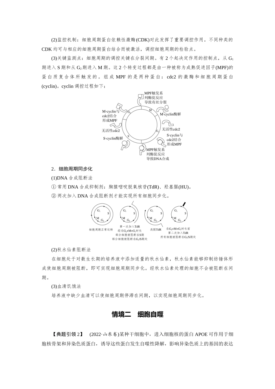 2026版红对勾一轮复习讲与练高考生物模块一　第四单元　命题情境3　细胞周期调控、细胞自噬和细胞焦亡.docx_第2页