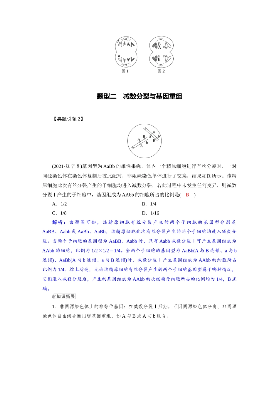2026版红对勾一轮复习讲与练高考生物模块一　第四单元　微专题2　减数分裂与可遗传变异的关系.docx_第2页