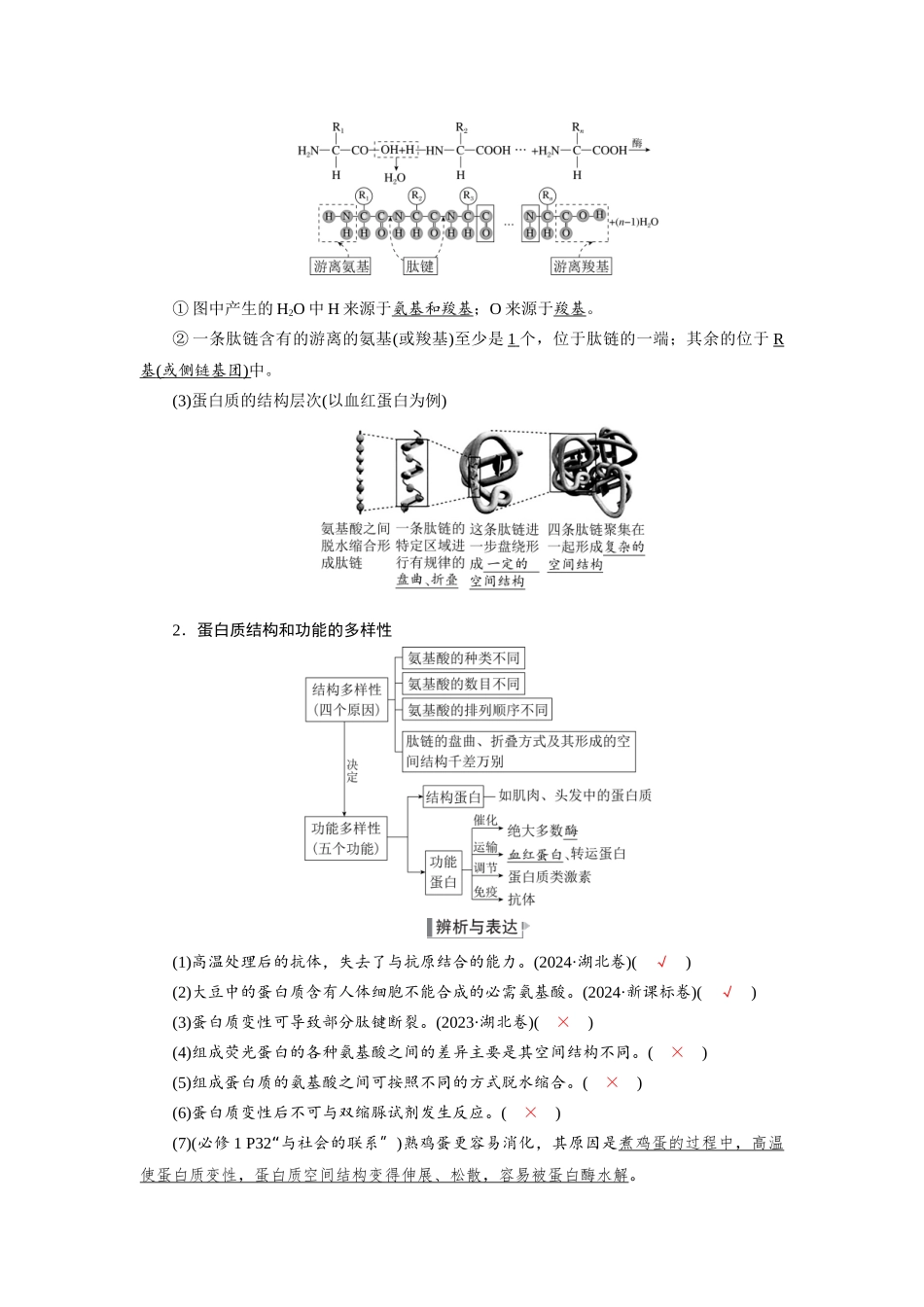 2026版红对勾一轮复习讲与练高考生物模块一　第一单元　第4课时　蛋白质是生命活动的主要承担者.docx_第2页