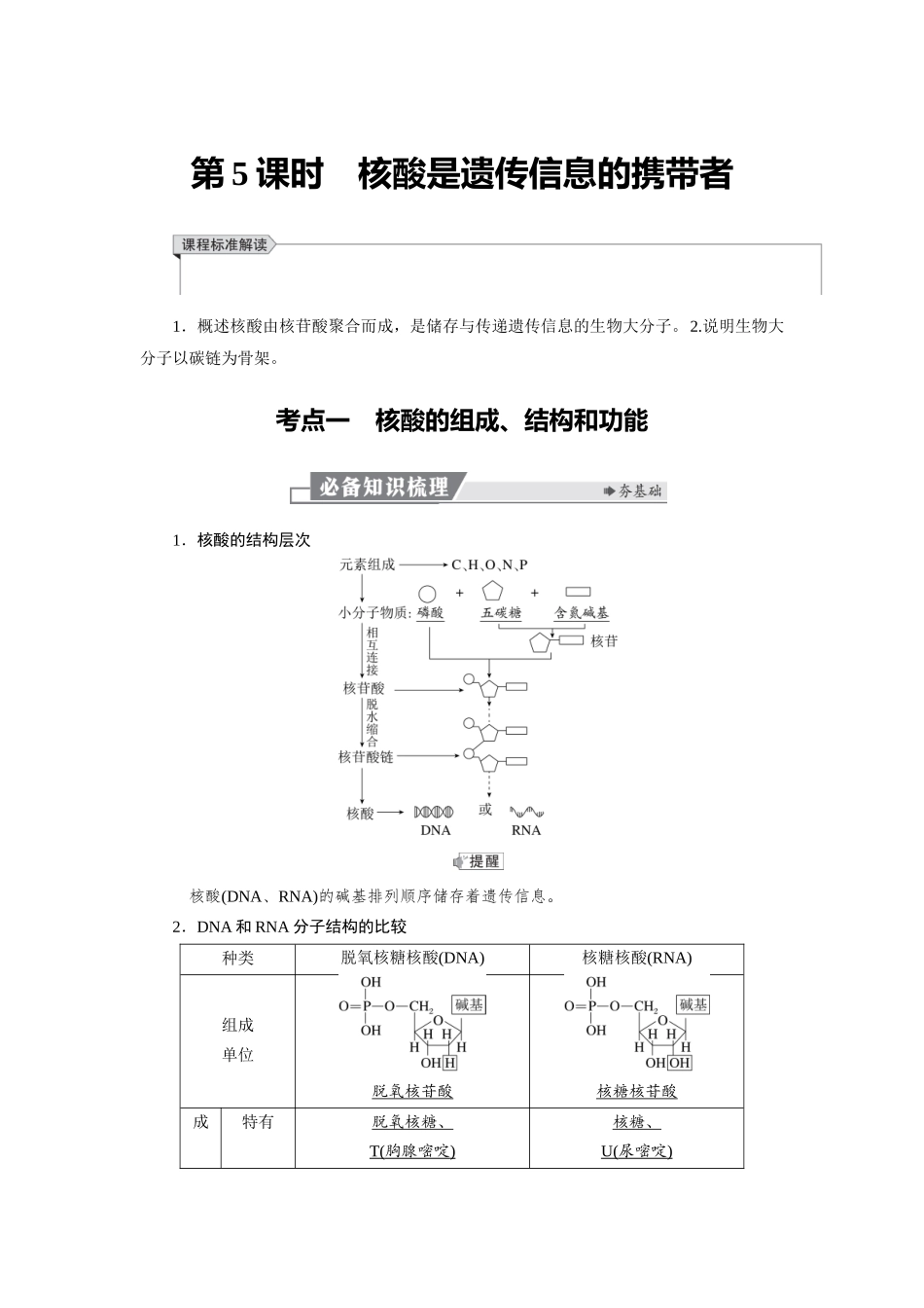 2026版红对勾一轮复习讲与练高考生物模块一　第一单元　第5课时　核酸是遗传信息的携带者.docx_第1页