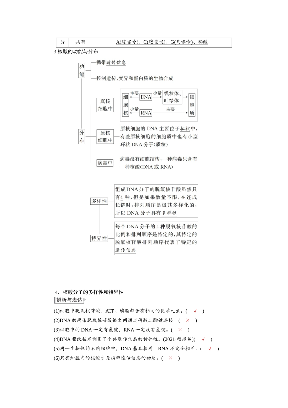 2026版红对勾一轮复习讲与练高考生物模块一　第一单元　第5课时　核酸是遗传信息的携带者.docx_第2页