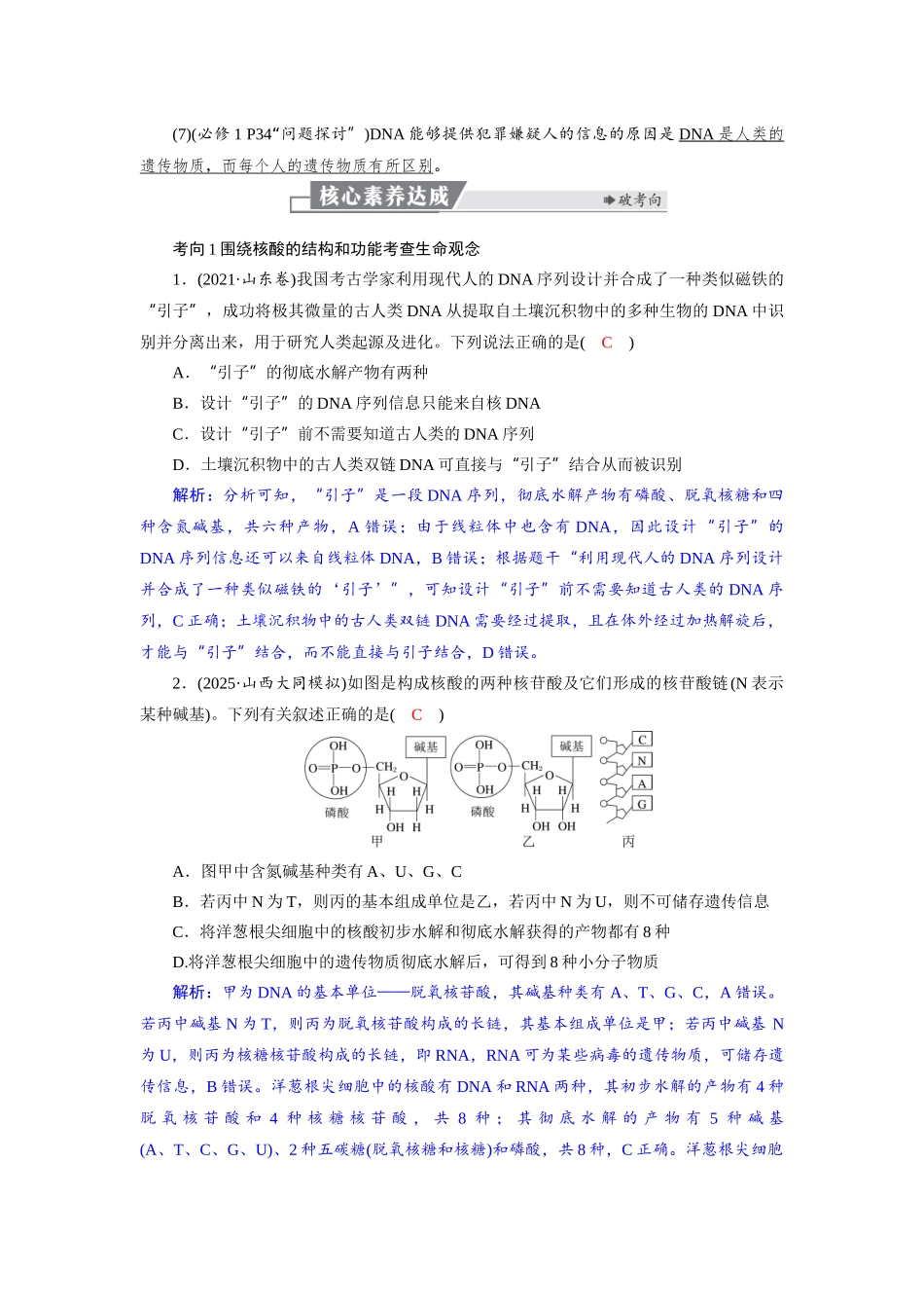 2026版红对勾一轮复习讲与练高考生物模块一　第一单元　第5课时　核酸是遗传信息的携带者.docx_第3页