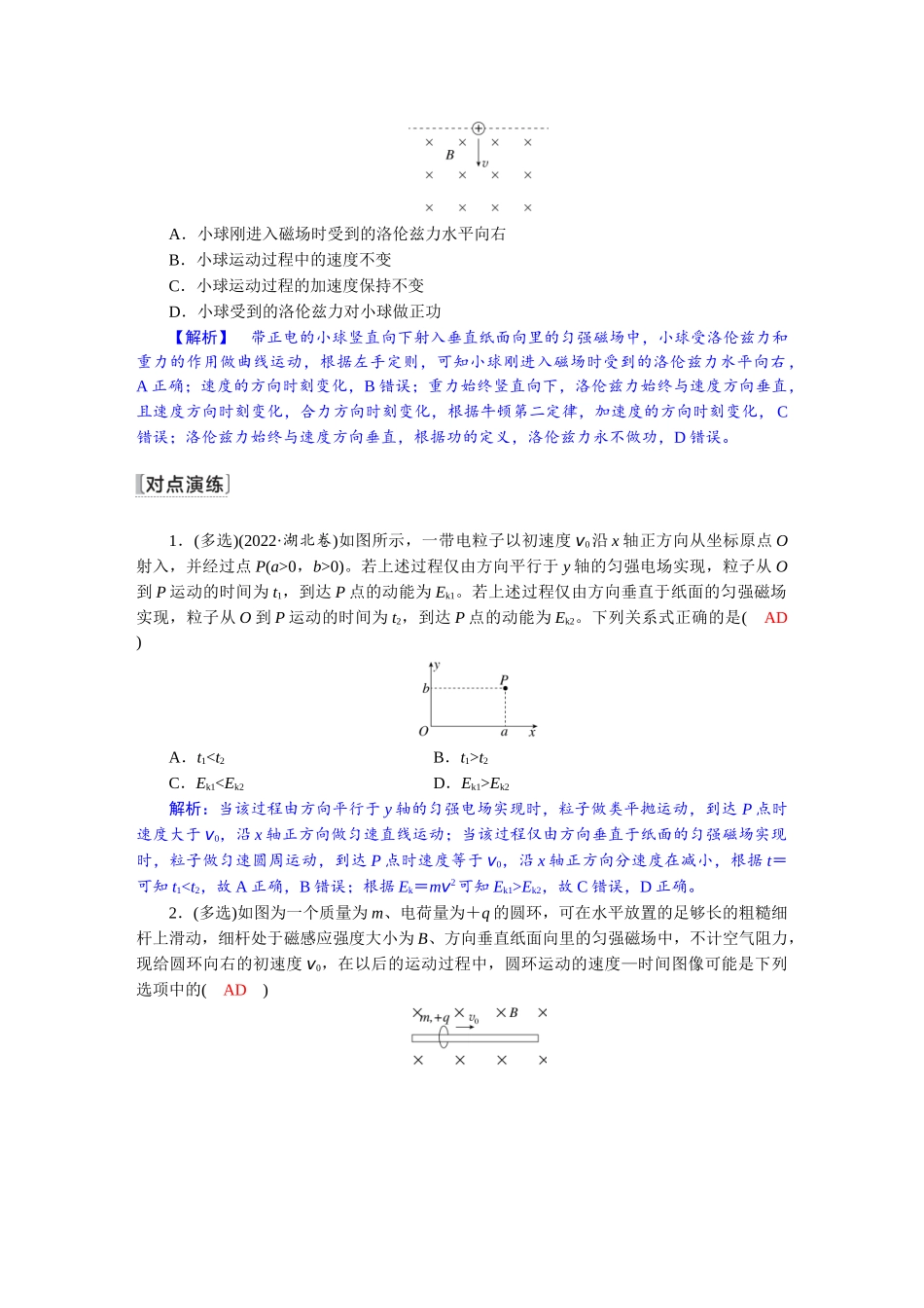 2026版红对勾一轮复习讲与练高考物理第十一章　第2讲　磁场对运动电荷的作用.docx_第3页