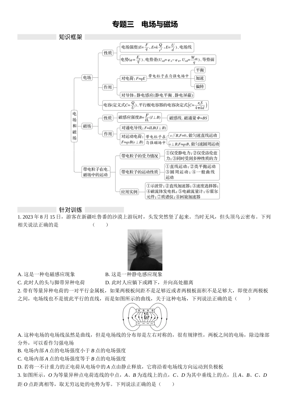 2026版三维设计一轮高中总复习物理通用版复习练-专题三　电场与磁场.docx_第1页