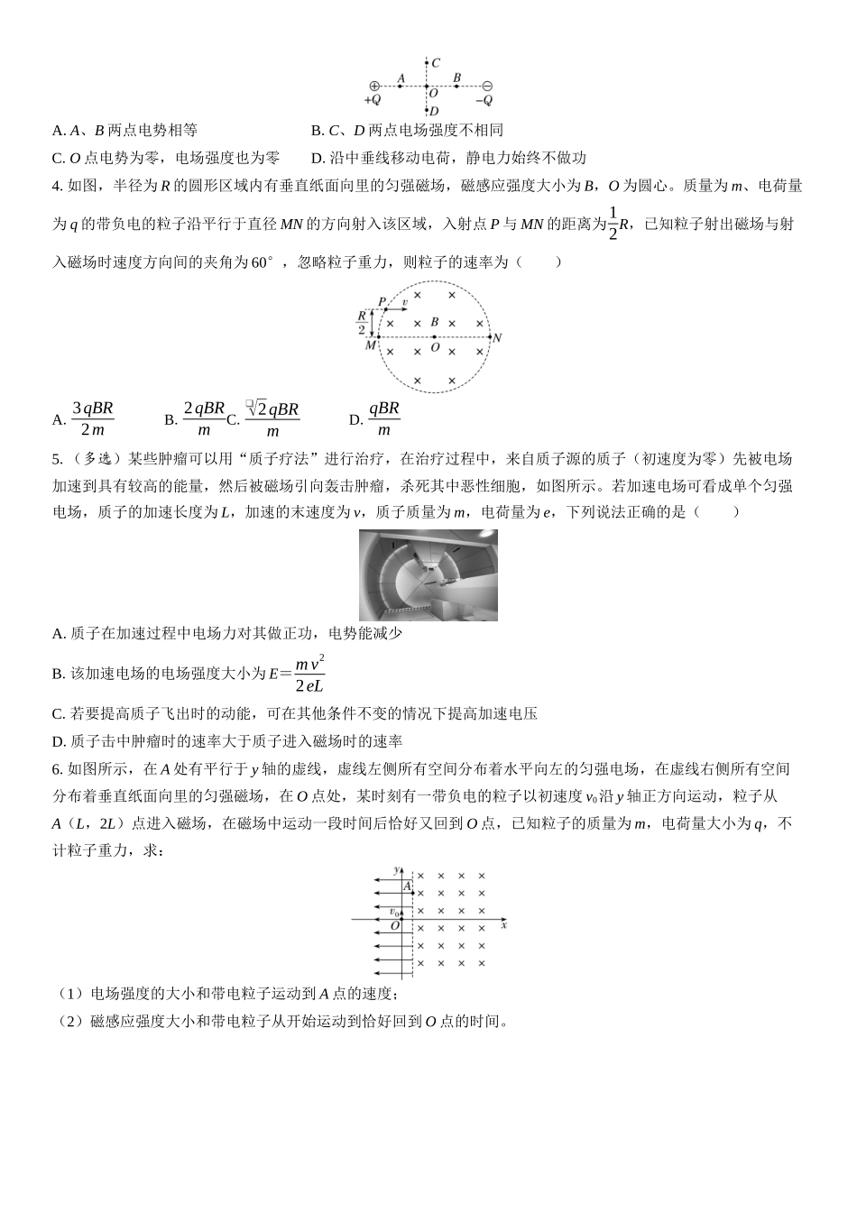 2026版三维设计一轮高中总复习物理通用版复习练-专题三　电场与磁场.docx_第2页