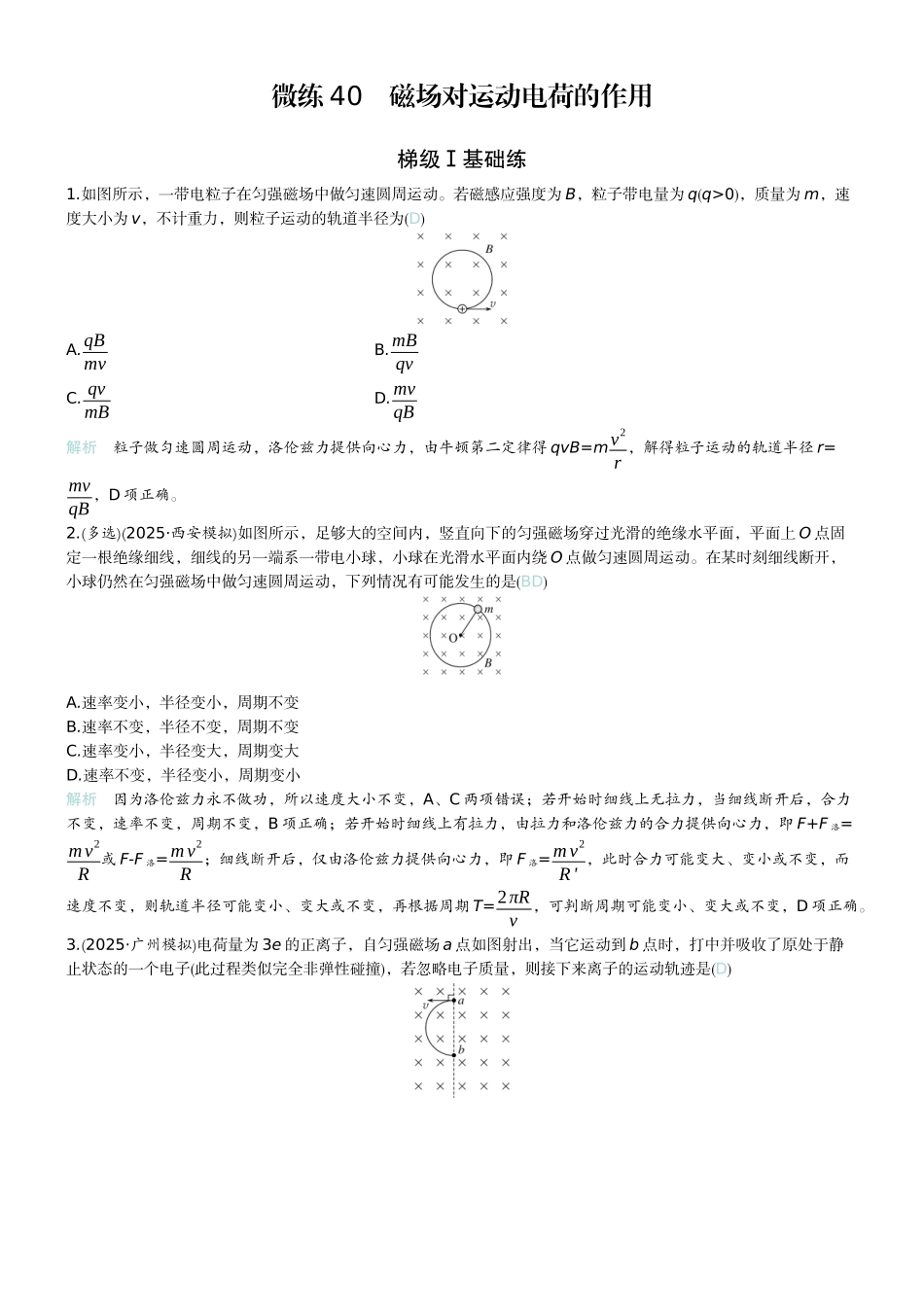 2026版赢在微点顶层设计大一轮物理教师练-微练40　磁场对运动电荷的作用.docx_第1页