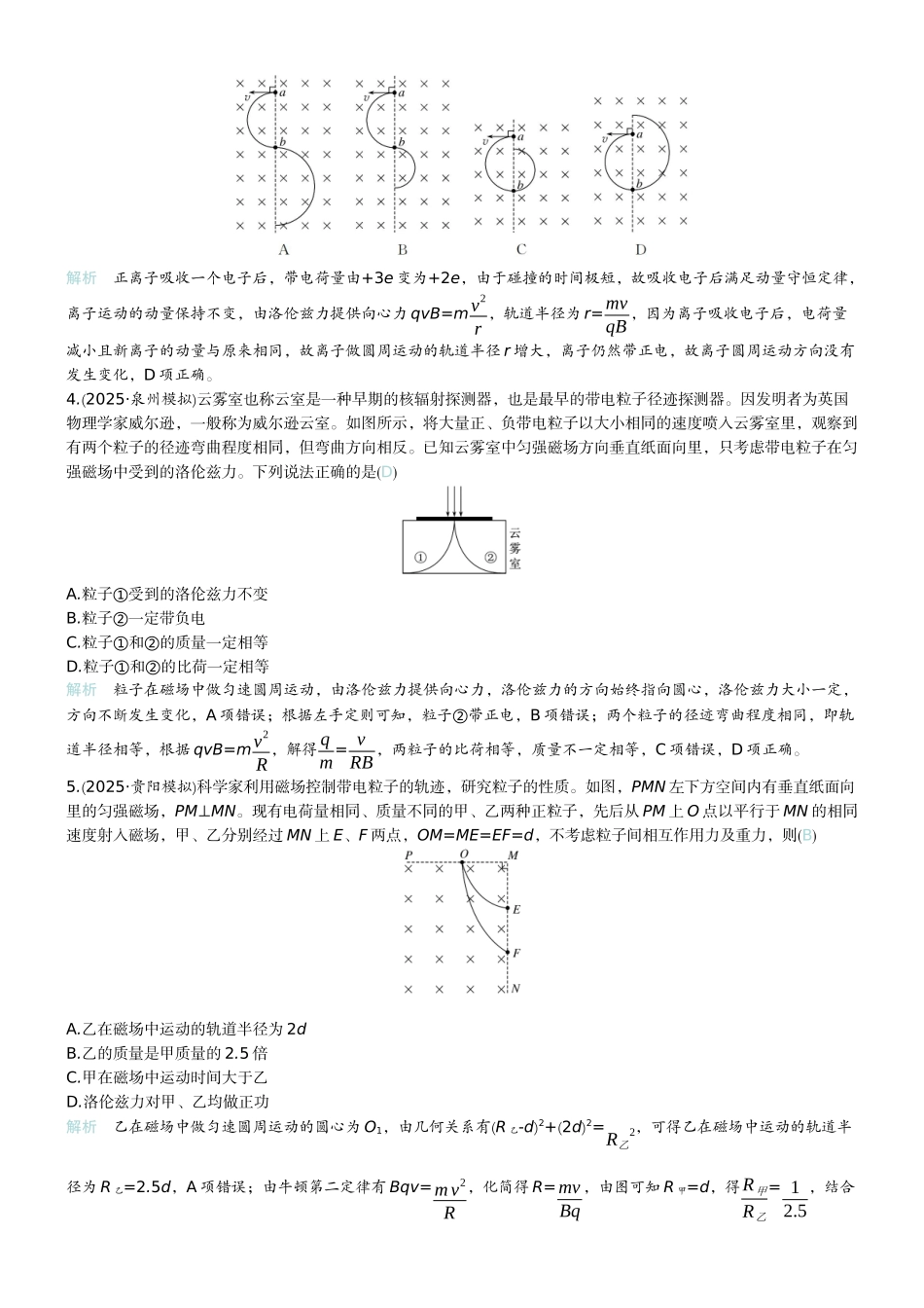2026版赢在微点顶层设计大一轮物理教师练-微练40　磁场对运动电荷的作用.docx_第2页