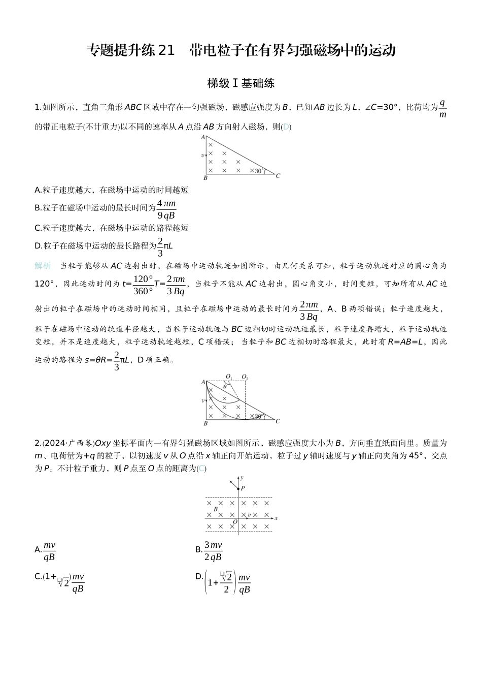 2026版赢在微点顶层设计大一轮物理教师练-专题提升练21　带电粒子在有界匀强磁场中的运动.docx_第1页