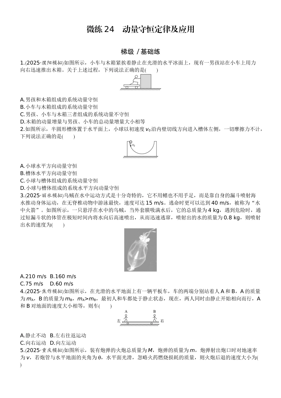 2026版赢在微点顶层设计大一轮物理学生练-微练24　动量守恒定律及应用.docx_第1页