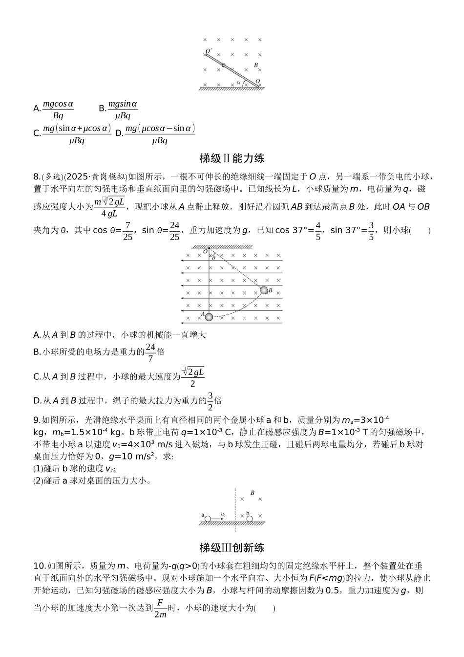 2026版赢在微点顶层设计大一轮物理学生练-微练40　磁场对运动电荷的作用.docx_第3页