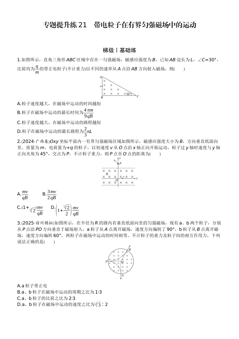 2026版赢在微点顶层设计大一轮物理学生练-专题提升练21　带电粒子在有界匀强磁场中的运动.docx_第1页