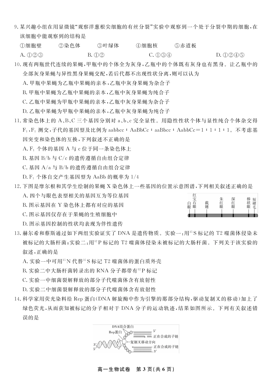 安徽省金榜教育2024-2025学年高一下学期期末考试生物试题2025年7月高一期末联考.pdf_第3页