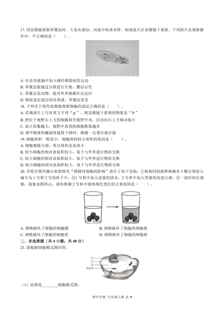 （北师大版）初中生物七年级上册 第3章综合测试及答案03.pdf_第3页