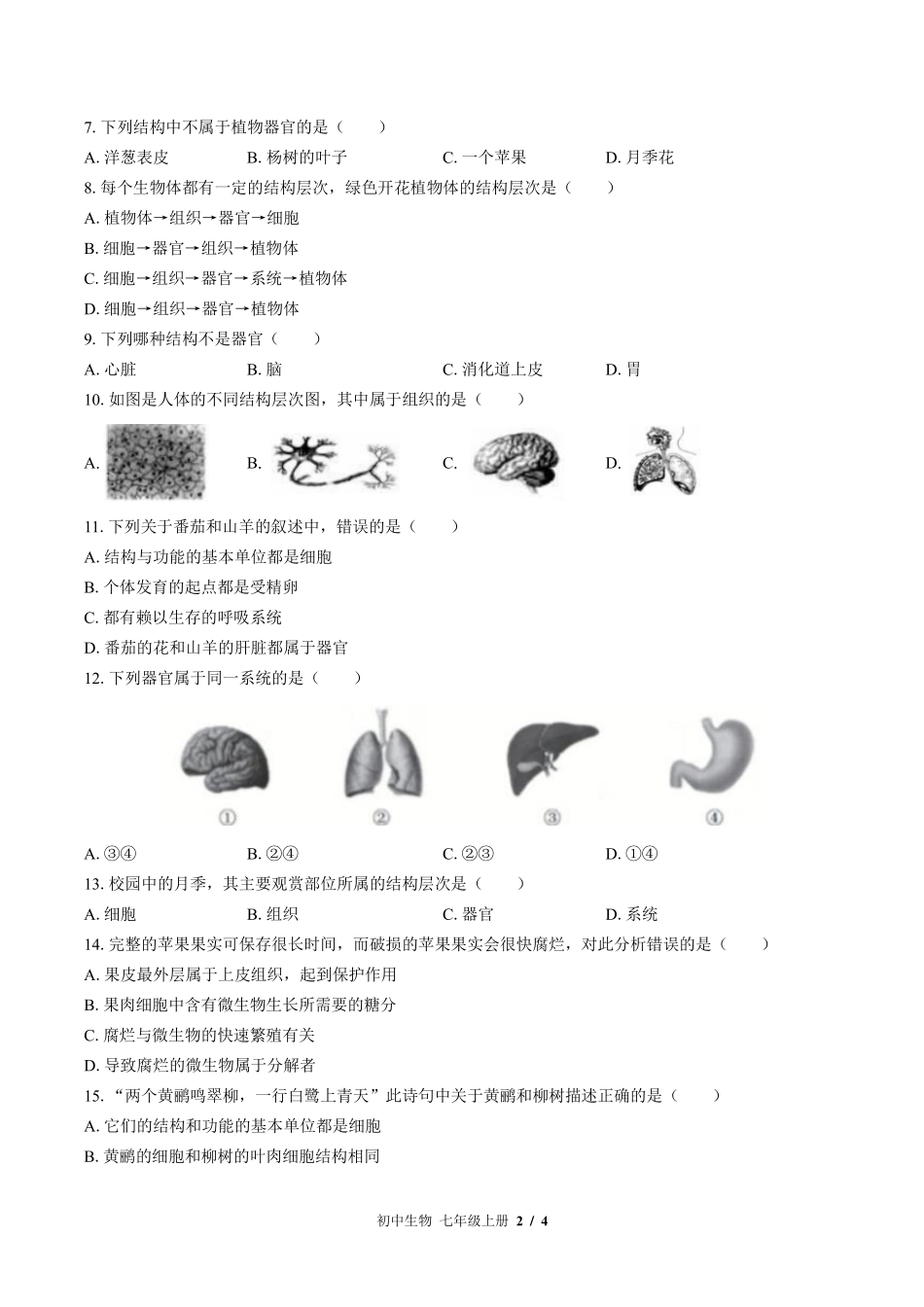 （北师大版）初中生物七年级上册 第4章综合测试及答案01.pdf_第2页
